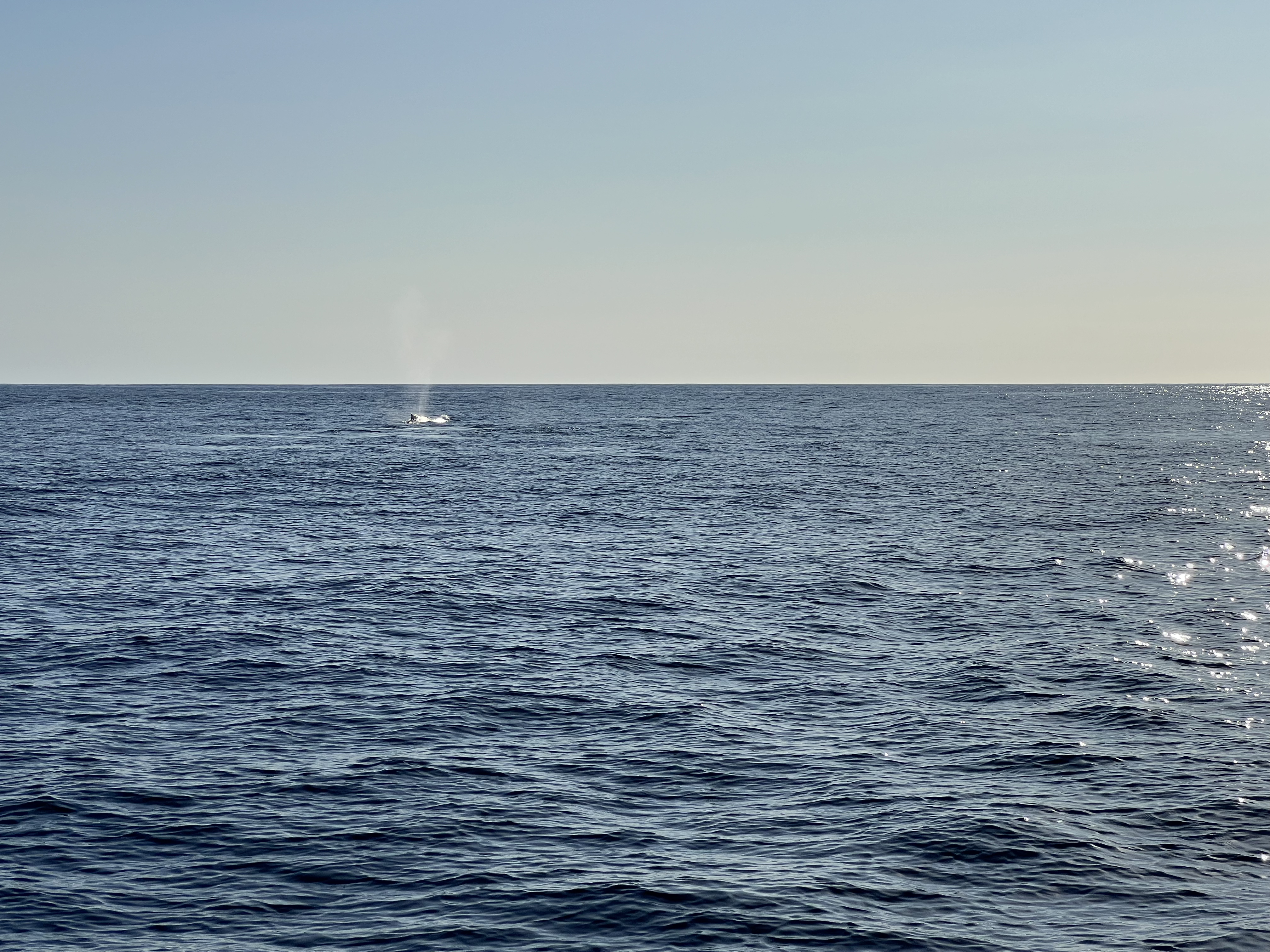 ./2024/13 - Cabo/IMG_4681.jpg